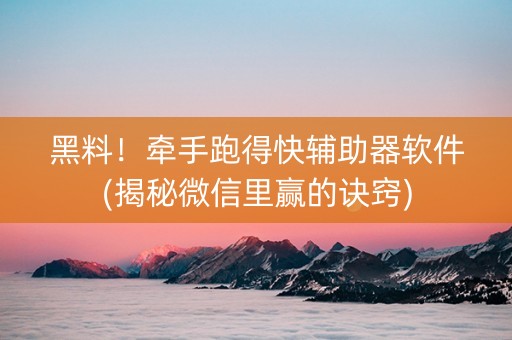 黑料！牵手跑得快辅助器软件(揭秘微信里赢的诀窍)