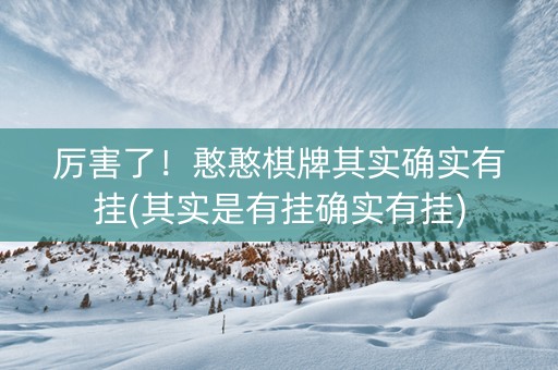厉害了！憨憨棋牌其实确实有挂(其实是有挂确实有挂)