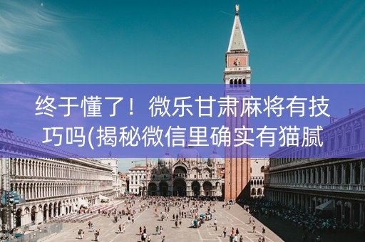 终于懂了！微乐甘肃麻将有技巧吗(揭秘微信里确实有猫腻)