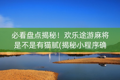 必看盘点揭秘！欢乐途游麻将是不是有猫腻(揭秘小程序确实有猫腻)