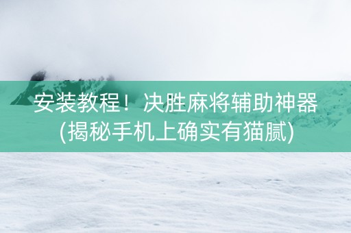 安装教程！决胜麻将辅助神器(揭秘手机上确实有猫腻)
