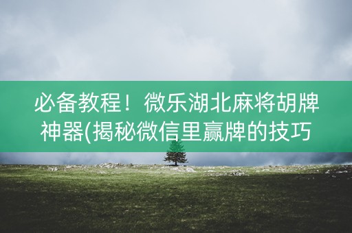 必备教程！微乐湖北麻将胡牌神器(揭秘微信里赢牌的技巧)