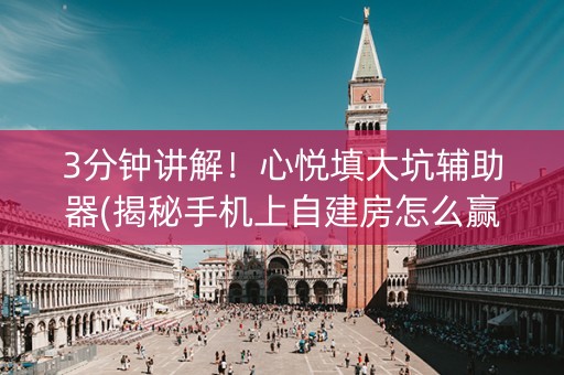 3分钟讲解！心悦填大坑辅助器(揭秘手机上自建房怎么赢)