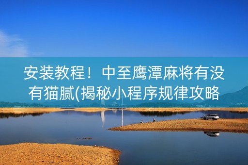 安装教程！中至鹰潭麻将有没有猫腻(揭秘小程序规律攻略)