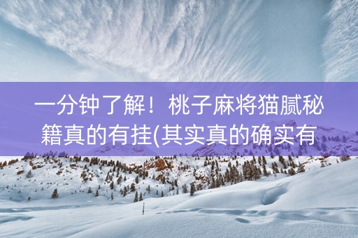 一分钟了解！桃子麻将猫腻秘籍真的有挂(其实真的确实有挂)