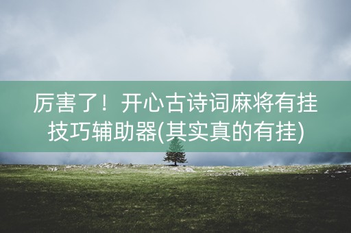 厉害了！开心古诗词麻将有挂技巧辅助器(其实真的有挂)