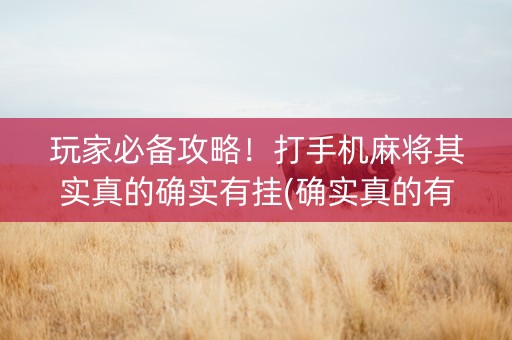 玩家必备攻略！打手机麻将其实真的确实有挂(确实真的有挂)