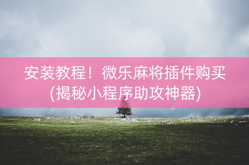 安装教程！微乐麻将插件购买(揭秘小程序助攻神器)
