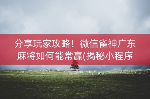 分享玩家攻略！微信雀神广东麻将如何能常赢(揭秘小程序助手软件)