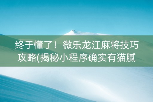 终于懂了！微乐龙江麻将技巧攻略(揭秘小程序确实有猫腻)