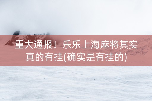 重大通报！乐乐上海麻将其实真的有挂(确实是有挂的)