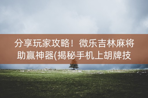 分享玩家攻略！微乐吉林麻将助赢神器(揭秘手机上胡牌技巧)