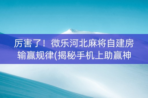 厉害了！微乐河北麻将自建房输赢规律(揭秘手机上助赢神器)