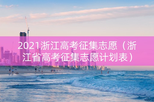 2021浙江高考征集志愿（浙江省高考征集志愿计划表）