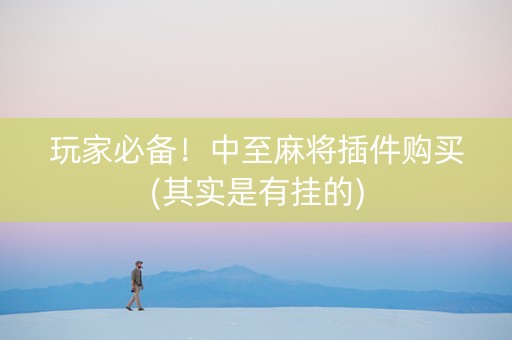 玩家必备！中至麻将插件购买(其实是有挂的)