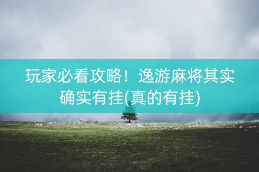 玩家必看攻略！逸游麻将其实确实有挂(真的有挂)
