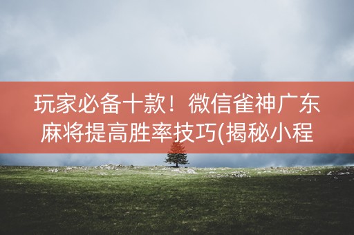 玩家必备十款！微信雀神广东麻将提高胜率技巧(揭秘小程序辅牌器)