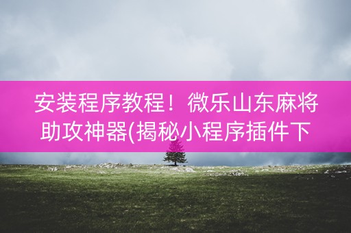 安装程序教程！微乐山东麻将助攻神器(揭秘小程序插件下载)