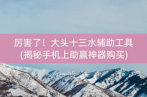 厉害了！大头十三水辅助工具(揭秘手机上助赢神器购买)