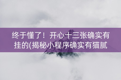 终于懂了！开心十三张确实有挂的(揭秘小程序确实有猫腻)