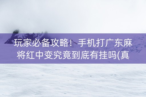 玩家必备攻略！手机打广东麻将红中变究竟到底有挂吗(真的有挂确实有挂)