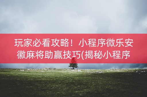 玩家必看攻略！小程序微乐安徽麻将助赢技巧(揭秘小程序助攻神器)