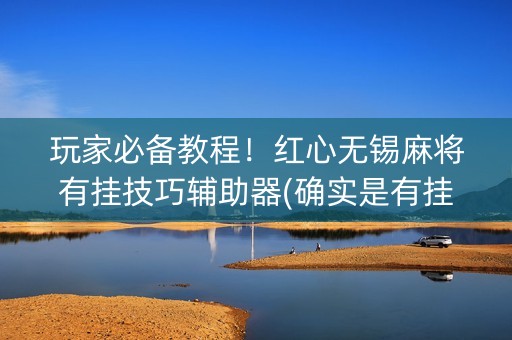 玩家必备教程！红心无锡麻将有挂技巧辅助器(确实是有挂)