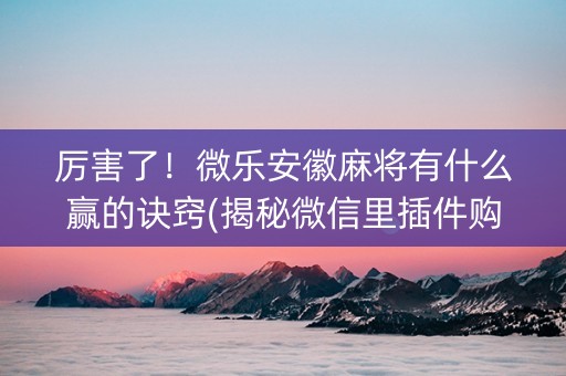 厉害了！微乐安徽麻将有什么赢的诀窍(揭秘微信里插件购买)