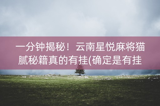 一分钟揭秘！云南星悦麻将猫腻秘籍真的有挂(确定是有挂)