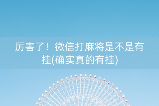 厉害了！微信打麻将是不是有挂(确实真的有挂)