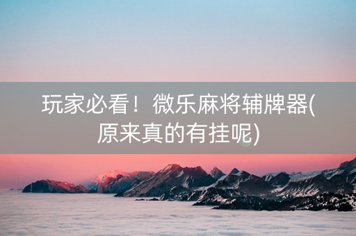 玩家必看！微乐麻将辅牌器(原来真的有挂呢)