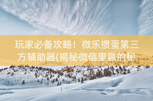 玩家必备攻略！微乐掼蛋第三方辅助器(揭秘微信里赢的秘诀)