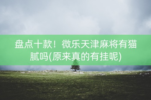盘点十款！微乐天津麻将有猫腻吗(原来真的有挂呢)
