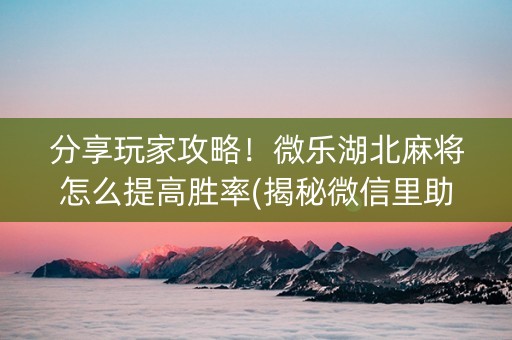 分享玩家攻略！微乐湖北麻将怎么提高胜率(揭秘微信里助赢神器购买)
