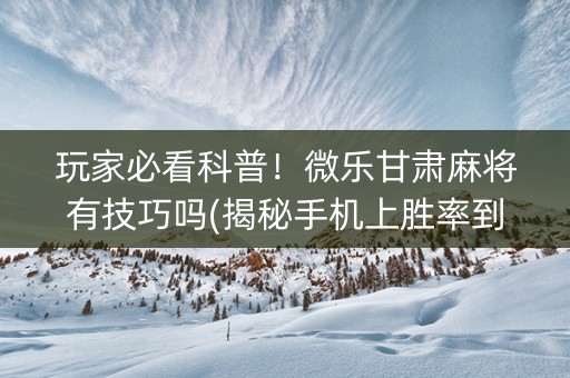 玩家必看科普！微乐甘肃麻将有技巧吗(揭秘手机上胜率到哪调)