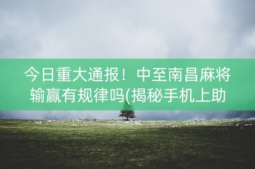 今日重大通报！中至南昌麻将输赢有规律吗(揭秘手机上助赢软件)