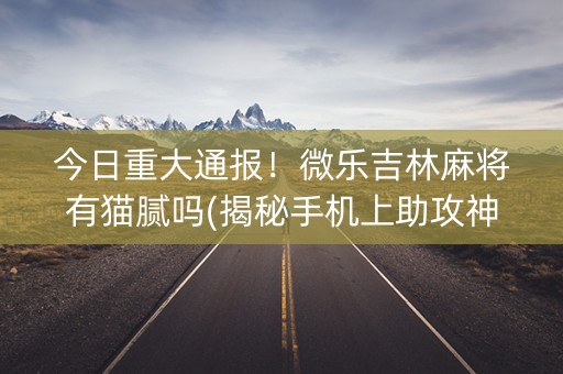 今日重大通报！微乐吉林麻将有猫腻吗(揭秘手机上助攻神器)