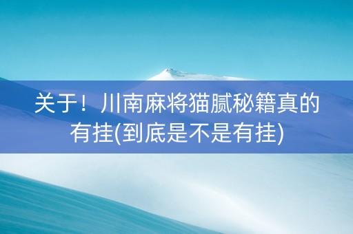 关于！川南麻将猫腻秘籍真的有挂(到底是不是有挂)