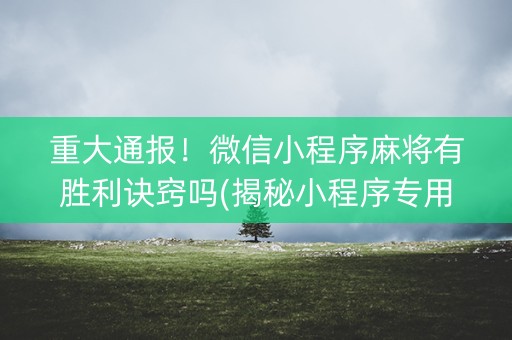 重大通报！微信小程序麻将有胜利诀窍吗(揭秘小程序专用神器下载)