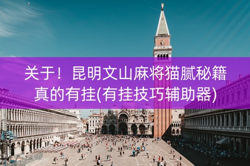 关于！昆明文山麻将猫腻秘籍真的有挂(有挂技巧辅助器)