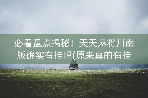 必看盘点揭秘！天天麻将川南版确实有挂吗(原来真的有挂)
