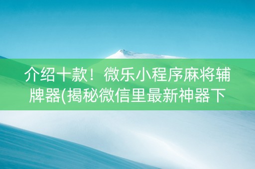 介绍十款！微乐小程序麻将辅牌器(揭秘微信里最新神器下载)