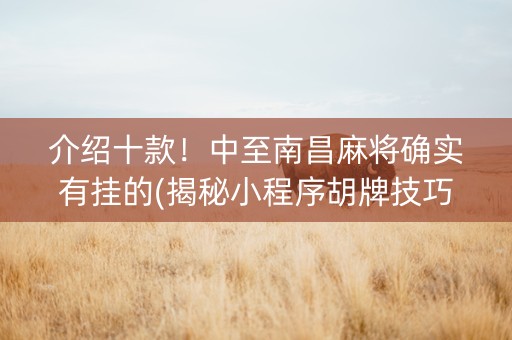 介绍十款！中至南昌麻将确实有挂的(揭秘小程序胡牌技巧)