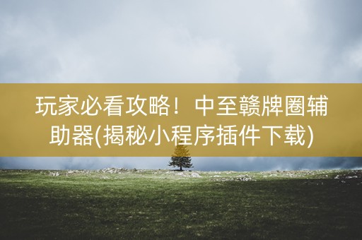 玩家必看攻略！中至赣牌圈辅助器(揭秘小程序插件下载)