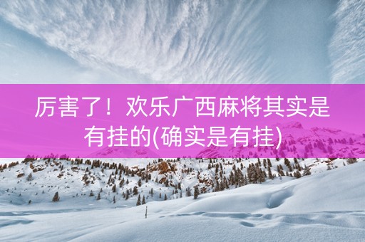 厉害了！欢乐广西麻将其实是有挂的(确实是有挂)