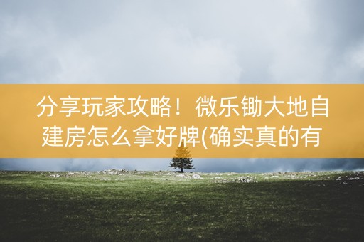 分享玩家攻略！微乐锄大地自建房怎么拿好牌(确实真的有挂)