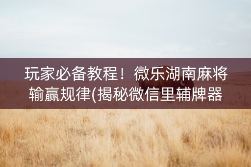 玩家必备教程！微乐湖南麻将输赢规律(揭秘微信里辅牌器)