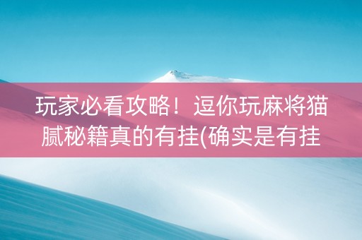 玩家必看攻略！逗你玩麻将猫腻秘籍真的有挂(确实是有挂的)