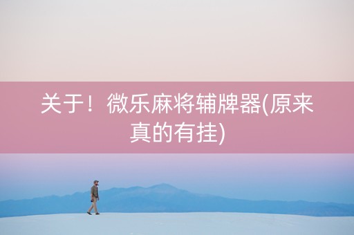 关于！微乐麻将辅牌器(原来真的有挂)