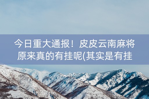 今日重大通报！皮皮云南麻将原来真的有挂呢(其实是有挂的)